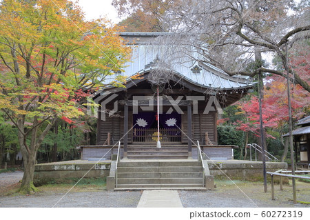 rin林寺（Sa玉縣）的秋葉 60272319