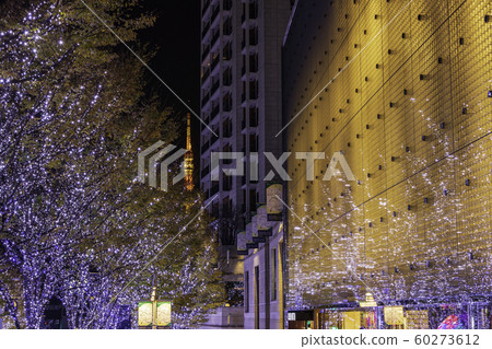 (Tokyo) Illumination of Keyakizaka (Tokyo) Illumination of Keyakizaka 60273612