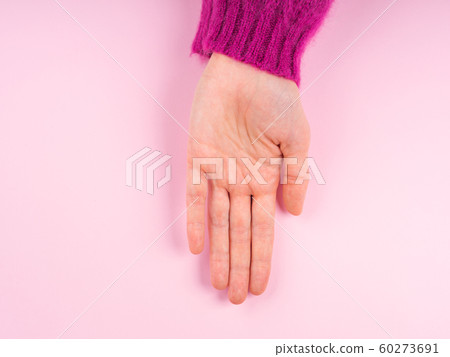 Female hand in magenta sweater on pink Female hand in magenta sweater on pink 60273691