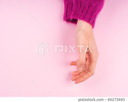 Female hand in magenta sweater on pink 60273693
