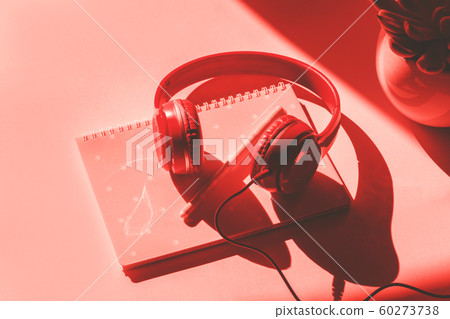 Headphones, notebook and succulent on pink Headphones, notebook and succulent on pink 60273738