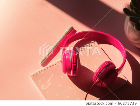 Headphones, notebook and succulent on pink Headphones, notebook and succulent on pink 60273739