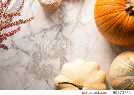 Autumn thanksgiving moody background with squash Autumn thanksgiving moody background with squash 60273743