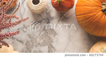 Autumn thanksgiving moody background with squash 60273744
