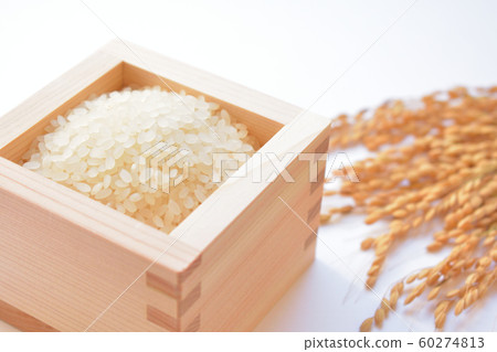Rice that entered the bathroom 60274813