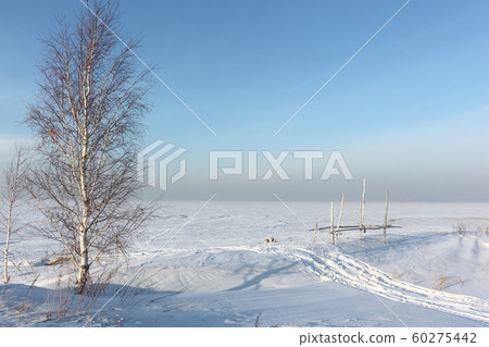 Trail from a snowmobile on the snowy island 60275442