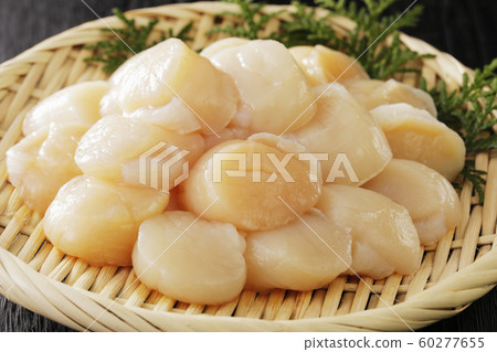 扇貝 扇貝 60277655