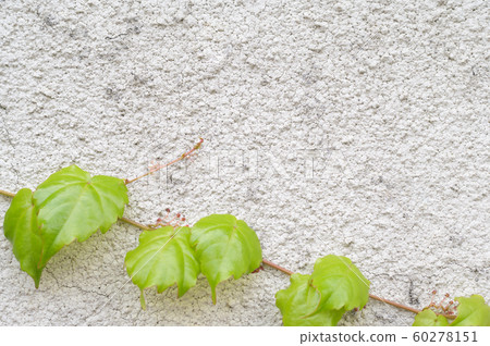 綠色框架 60278151