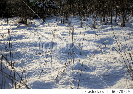 winter time of year 60278799