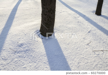 day in winter day in winter 60278800