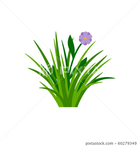 Bush of green grass with flower Bush of green grass with flower 60279349