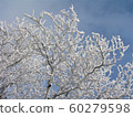 Hambaeksan, Winter, Snow, Ancient 60279598