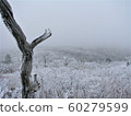 Hambaeksan, Winter, Snow, Ancient 60279599