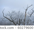 Hambaeksan, Winter, Snow, Ancient 60279600