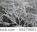Hambaeksan, Winter, Snow, Ancient 60279601