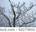 Hambaeksan, Winter, Snow, Ancient 60279602