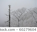 Hambaeksan, Winter, Snow, Ancient 60279604