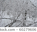 Hambaeksan, Winter, Snow, Ancient 60279606