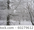 Hambaeksan, Winter, Snow, Ancient 60279612