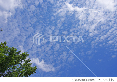 秋天的天空 秋天的天空 60280119