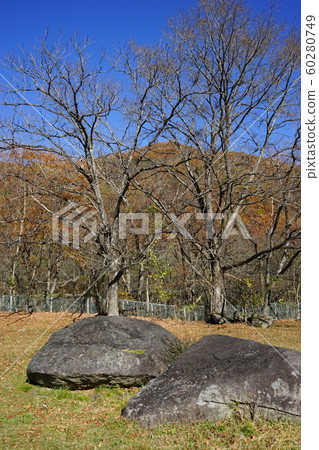 蒂默格拉露營地，在那裡您可以看到富士山。 60280749