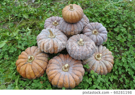 Aizu Traditional Vegetables Aizu Traditional Vegetables 60281198