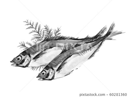 Horse mackerel horse mackerel Horse mackerel horse mackerel Hiba watercolor monotone 60281360