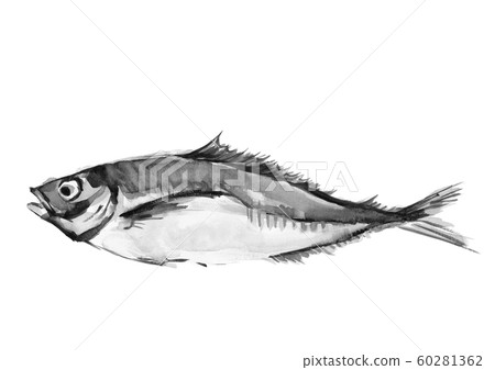 Horse mackerel horse mackerel Mackerel horse mackerel watercolor monotone Horse mackerel horse mackerel Mackerel horse mackerel watercolor monotone 60281362