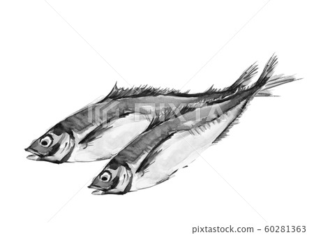 竹莢魚竹莢魚竹莢魚竹莢魚水彩單調 60281363