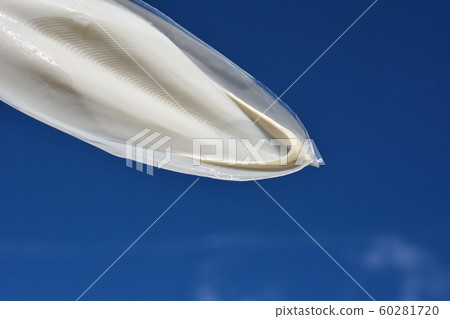 Cuttlefish shell, blue sky, light, water, reed, material Cuttlefish shell, blue sky, light, water, reed, material 60281720