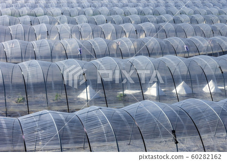 vinyl house  60282162