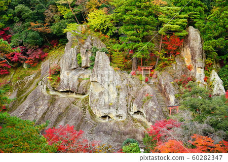Autumn leaves of Natoya-ji Autumn leaves of Natoya-ji 60282347