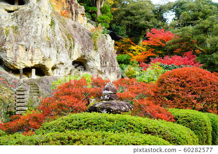 Autumn leaves of Natoya-ji 60282577