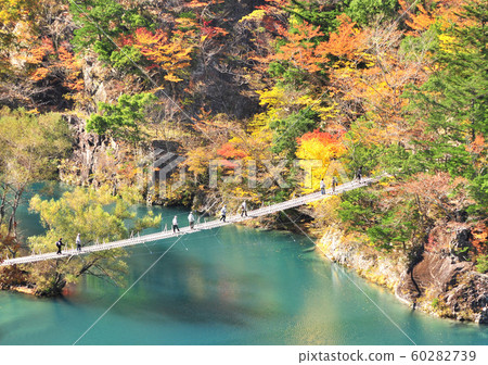 勝田峽14362 60282739