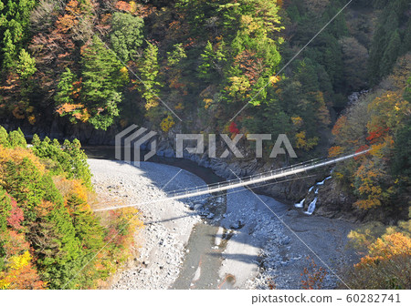 勝田峽14365 勝田峽14365 60282741