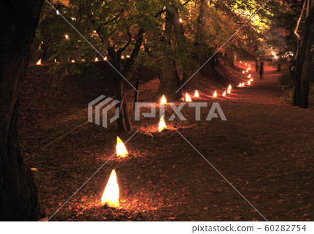 川口湖楓樹走廊-14416 60282754