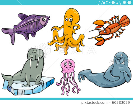 sea life animal species characters set 60283039