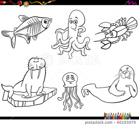 cartoon marine animal characters coloring book 60283079