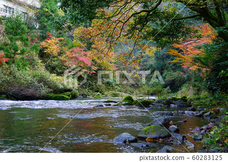 Autumn leaves of Tsurusen River 60283125