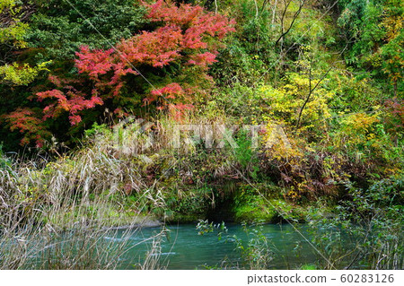 Autumn leaves of Tsurusen River 60283126