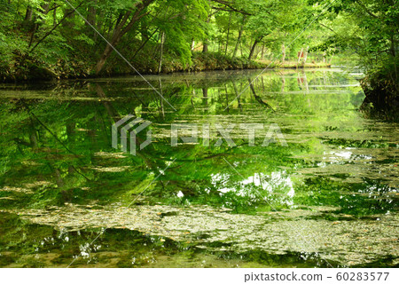 Torinuma Park (Furano City, Hokkaido) Torinuma Park (Furano City, Hokkaido) 60283577