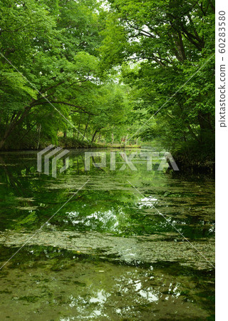 Torinuma Park (Furano City, Hokkaido) Torinuma Park (Furano City, Hokkaido) 60283580