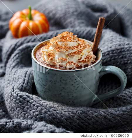 Pumpkin latte with spices. Boozy cocktail with whipped cream. Grey knitted background. Close up. 60286030
