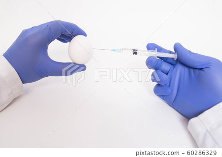 Plastic surgeon doctor injects Botox into the egg concept of injections to men in the intimate area and scrotum to smooth out wrinkles and give volume and size to the testicles, intimate plastic 60286329