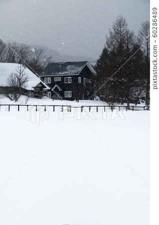 Seasonal photograph of natural plant landscape building Winter view of Koiwai Farm Building of Koiwai Farm Quiet winter view Seasonal photograph of natural plant landscape building Winter view of Koiwai Farm Building of Koiwai Farm Quiet winter view 60286489