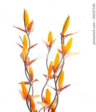 Orange artificial flowers on a white background, isolate 60287180