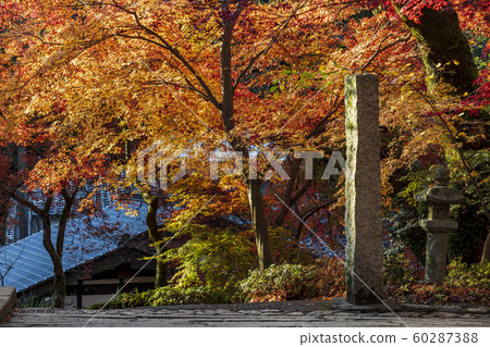 Akitsuki城堡秋葉 60287388