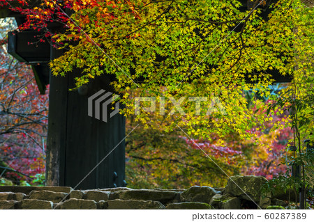 Akitsuki城堡秋葉 60287389