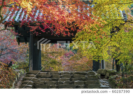 Akitsuki城堡秋葉 60287390