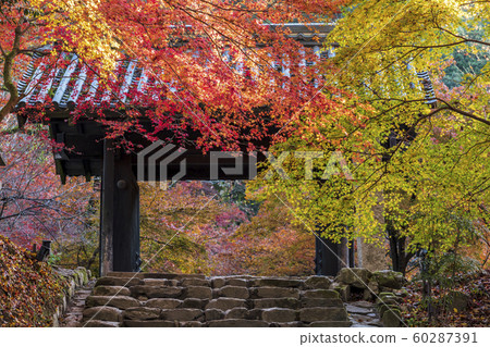 Akitsuki城堡秋葉 60287391